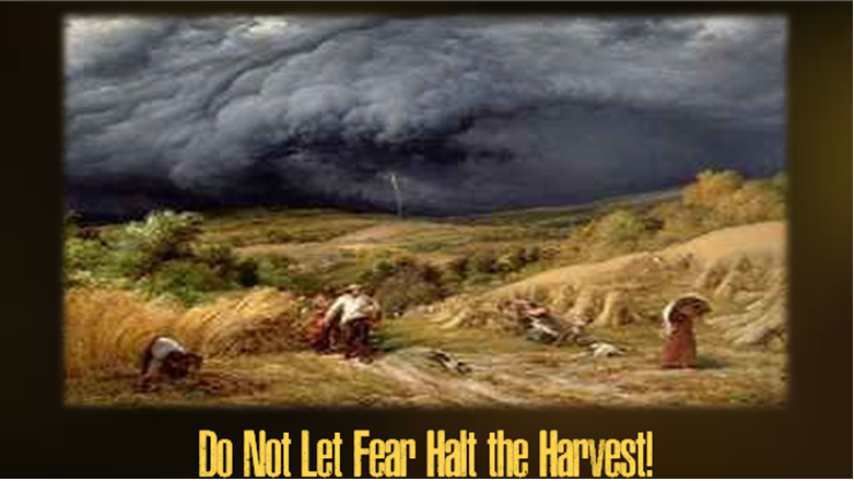 Do Not Let Fear Halt the Harvest