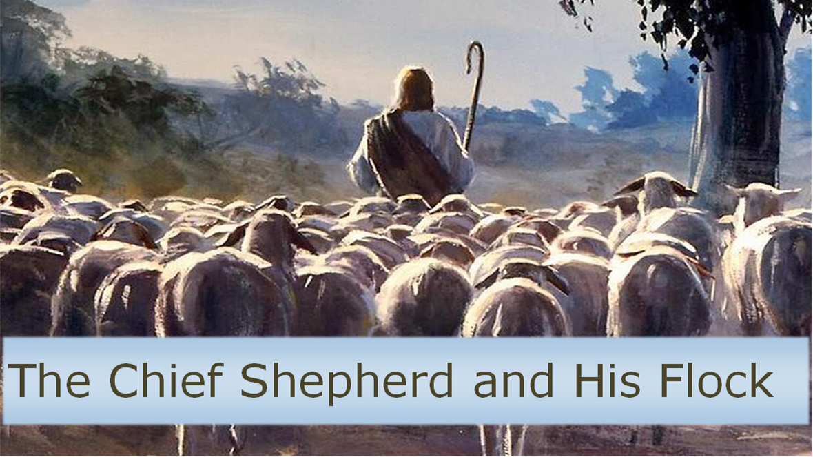 The Chief Shepherd and His Flock