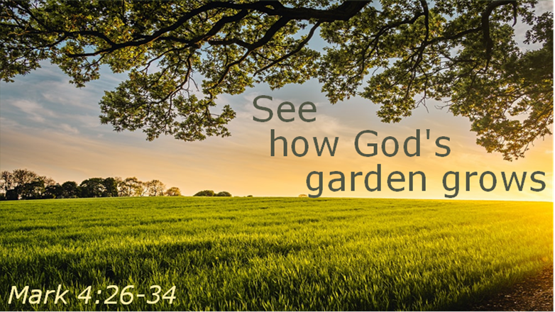 See How God's Garden Grows