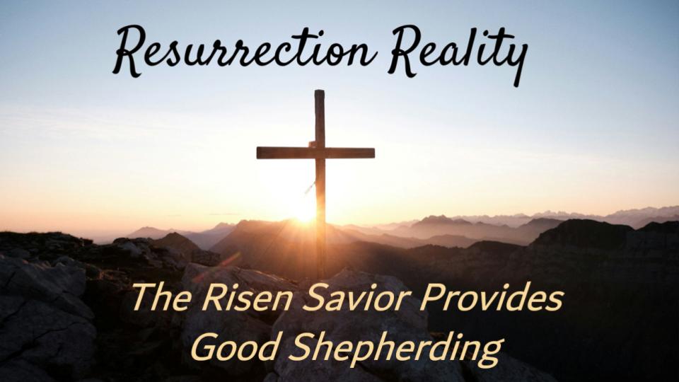 Resurrection Reality: The Ultimate Shepherd