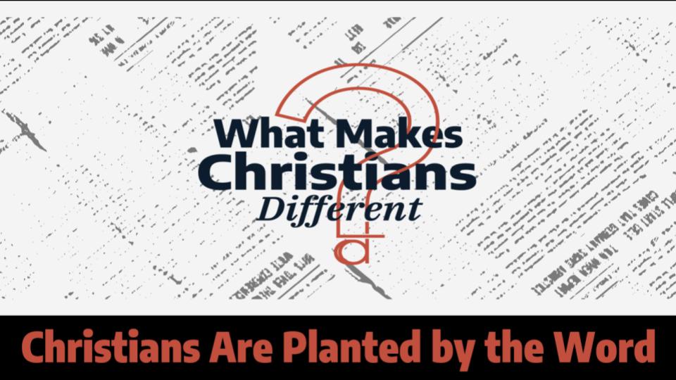 WHAT MAKES CHRISTIANS DIFFERENT: Christians Are Planted by the Word
